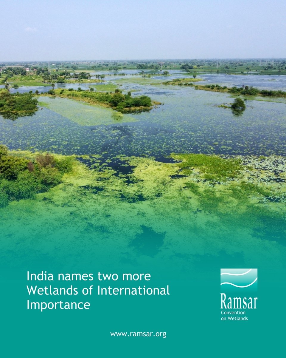 RamsarConv's tweet image. #ExcitingNews: India has added Chhari Dhand and Patna Bird Sanctuary to the List of Wetlands of International Importance bringing its total number of #RamsarSites to 98.

Details: ramsar.org/news/india-nam…

#India #WetlandsMatter #WetlandConservation