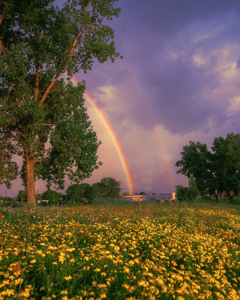 _thecolorfulkid's tweet photo. Dreaming of a Midwest summer https://t.co/s8UAX3D2gV