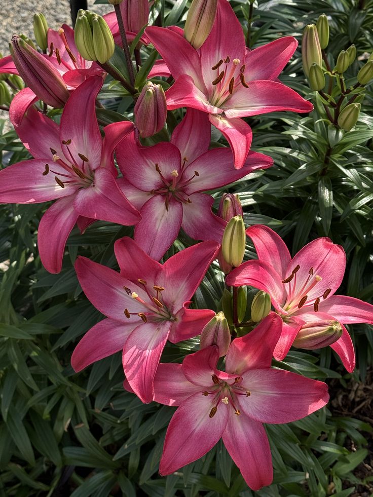 ____flowers__'s tweet image. 