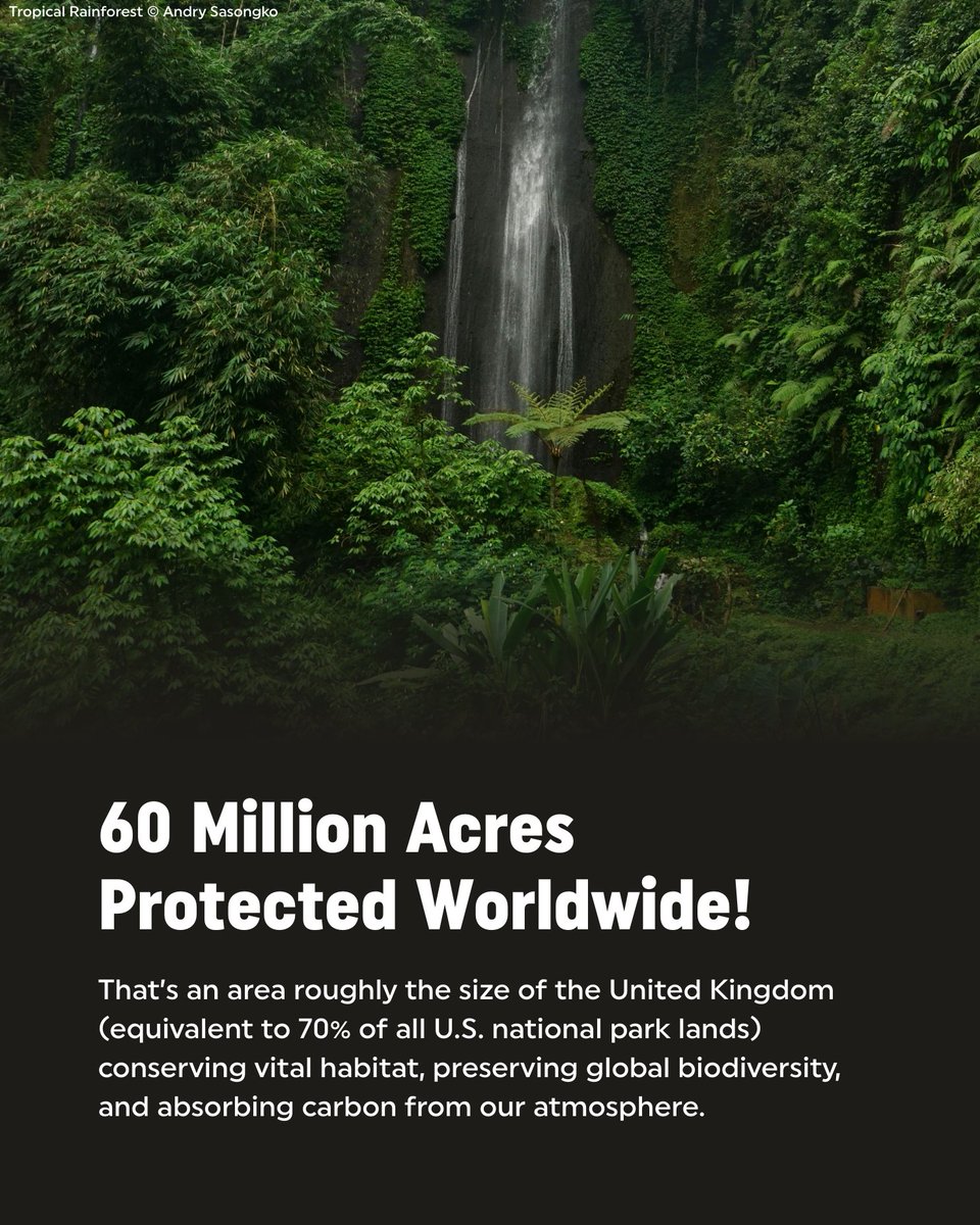 Rainforest Trust tweet media