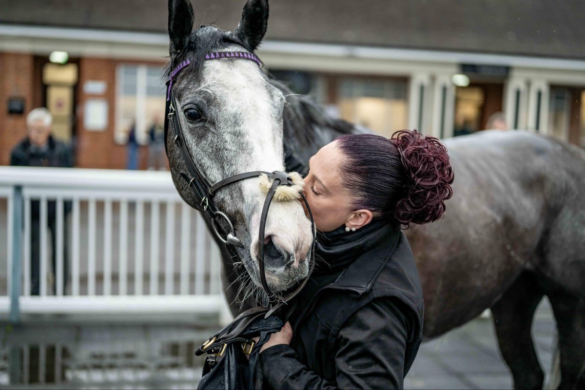 Lingfield Park tweet media