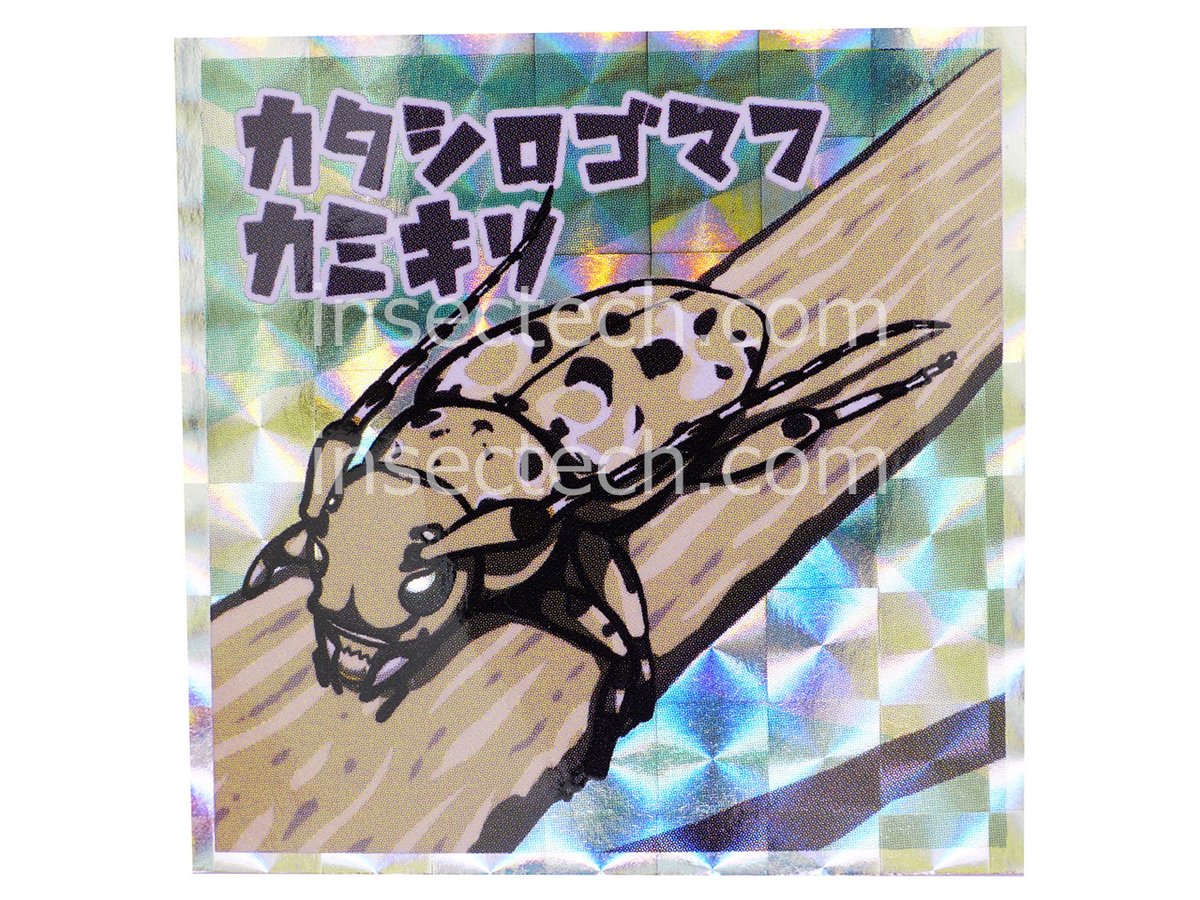 駄画紙屋📜青真 (@aoma_mushino85) / Posts / X