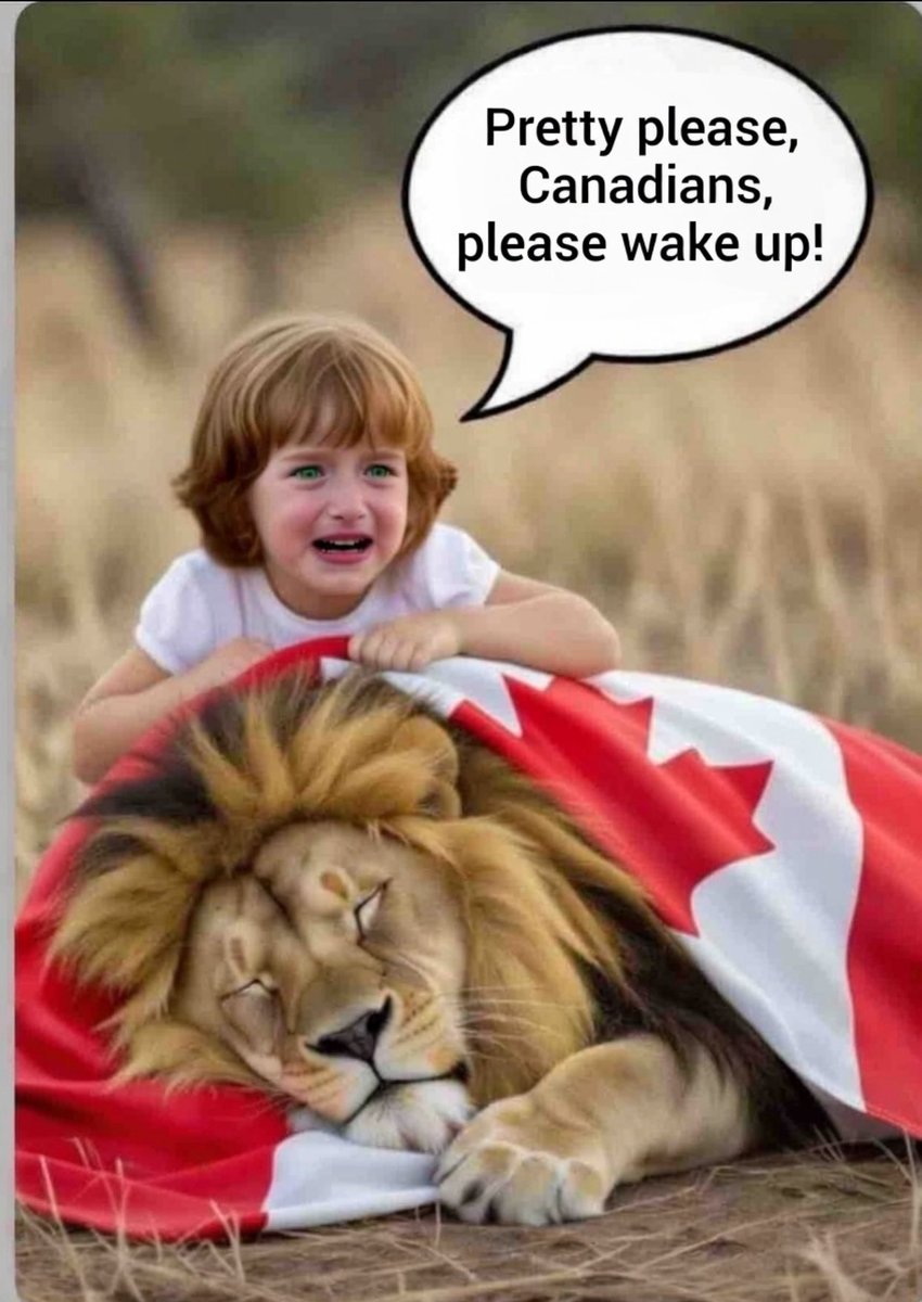 HanyaToderoff's tweet photo. 🔱 The Final Call
#CrimeSyndicate
#NoAccountability
#Cdnpolitics
#OpticsPolitics
#CorporateOligarchs
#CanadiansMatterNot
Our Voices Matter
@SassygalYEG
@skiklutz
@shimjelly
@greg_scott84
@nualanichols
@__Average_Joe__ https://t.co/LhzEu69aZa