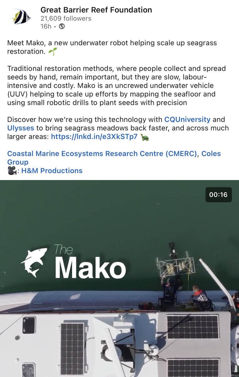 will o’brien tweet media