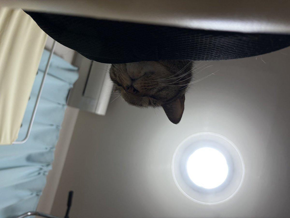 debirth's tweet image. 나비.