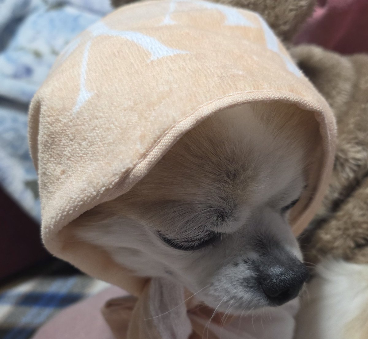 junOn_723's tweet photo. Only You
ミーグリ&amp;ミニラ行ってきた♡
ミーグリ入った瞬間ビジュ最強たっくんいて挙動不審になったけどなんとか持ちこたえて話せたしなんなら一生懸命答えて呼び戻してくれて...😇死
🦦かっくん🦦💕

ナオ姫と2人でお姫様ポーズぶちかましてきたしもうぐっすり眠れそう！
またマゼちゃん会いに行くね https://t.co/3Zl6yyRccA