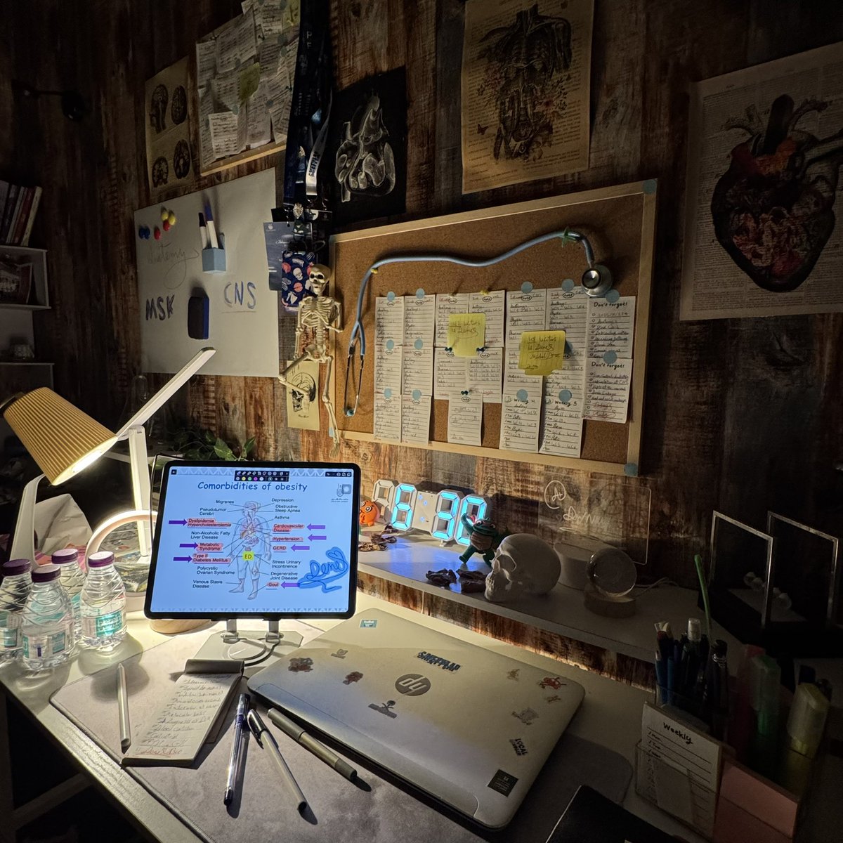 Dr.Nan🩺 tweet media