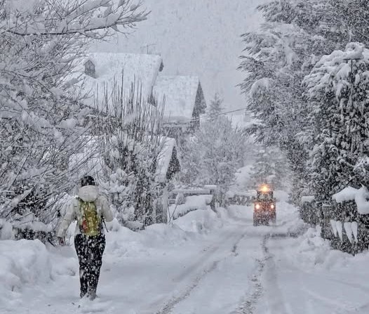 weathertoski tweet media