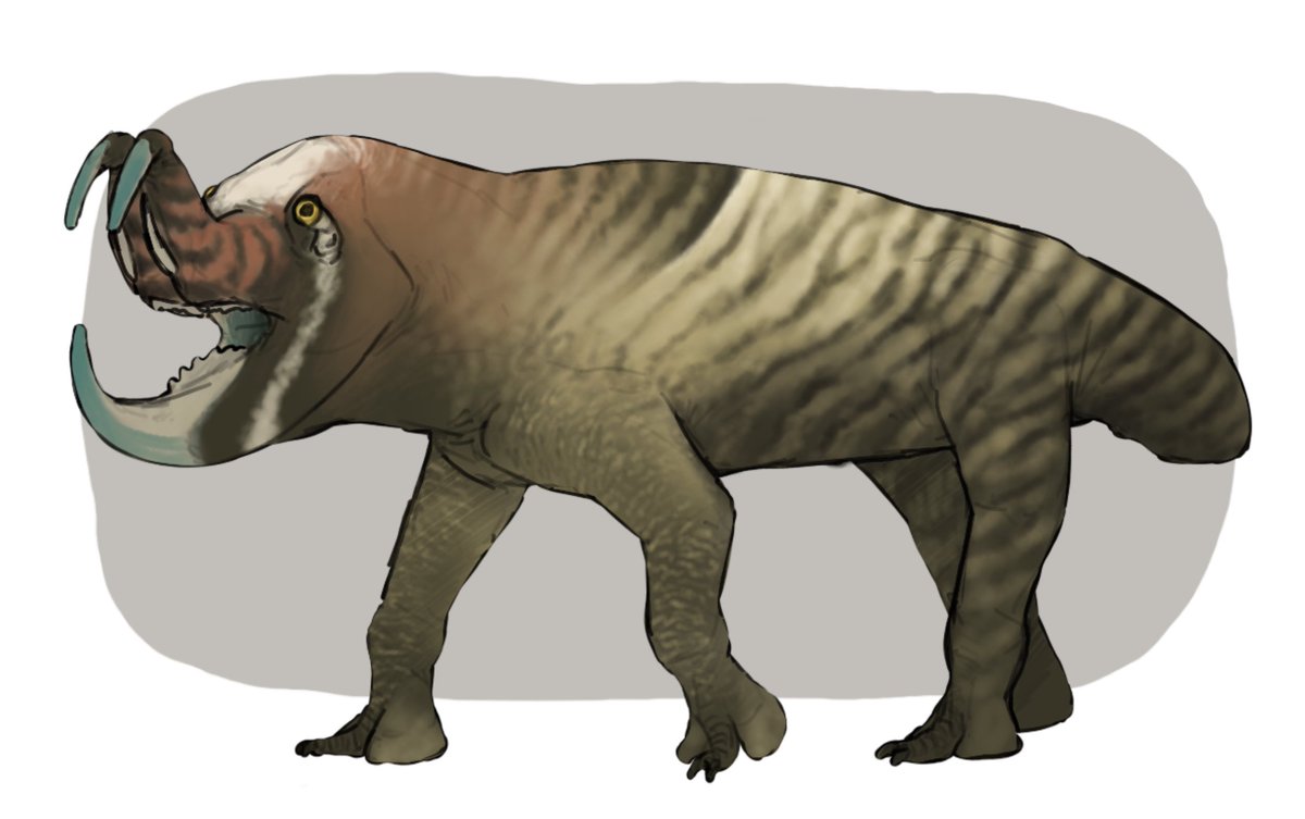 "How large is your artistic range?"
Yes