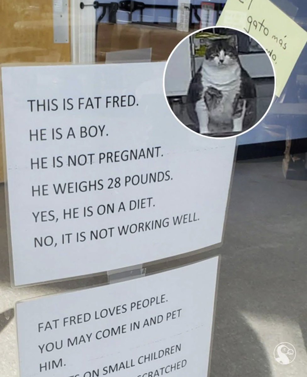 i like food tweet media