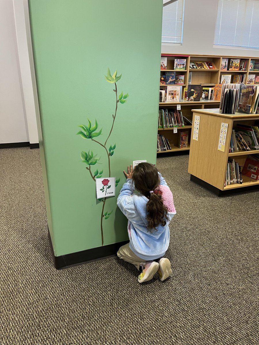 Michelle Ragghianti tweet media