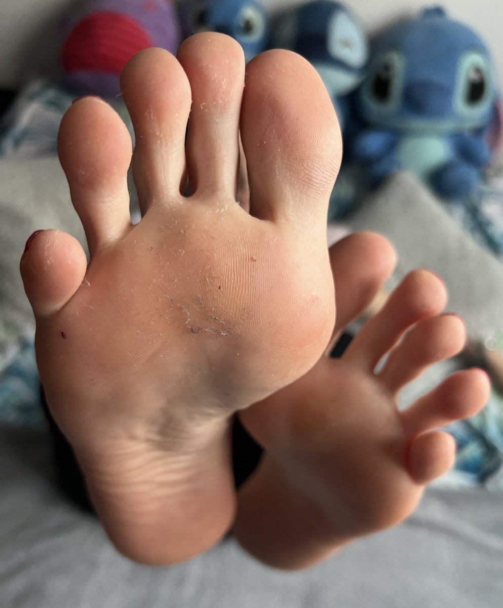 QueenEwaFindom's tweet photo. Skoro twój psi jęzor jest tak daleko od Moich cudownych stóp to z przyjemnością wytrę je w twoją wypłatę.🤭 

@rt_feet @rt_domm @rt_promo2k 

Findom Domination FootWorship FeetFetish Soles FinD humiliation Goddess loser Dirty Smelly feetdom feetfinder fetysz stóp mindfuck https://t.co/Hq8W8DLzkO