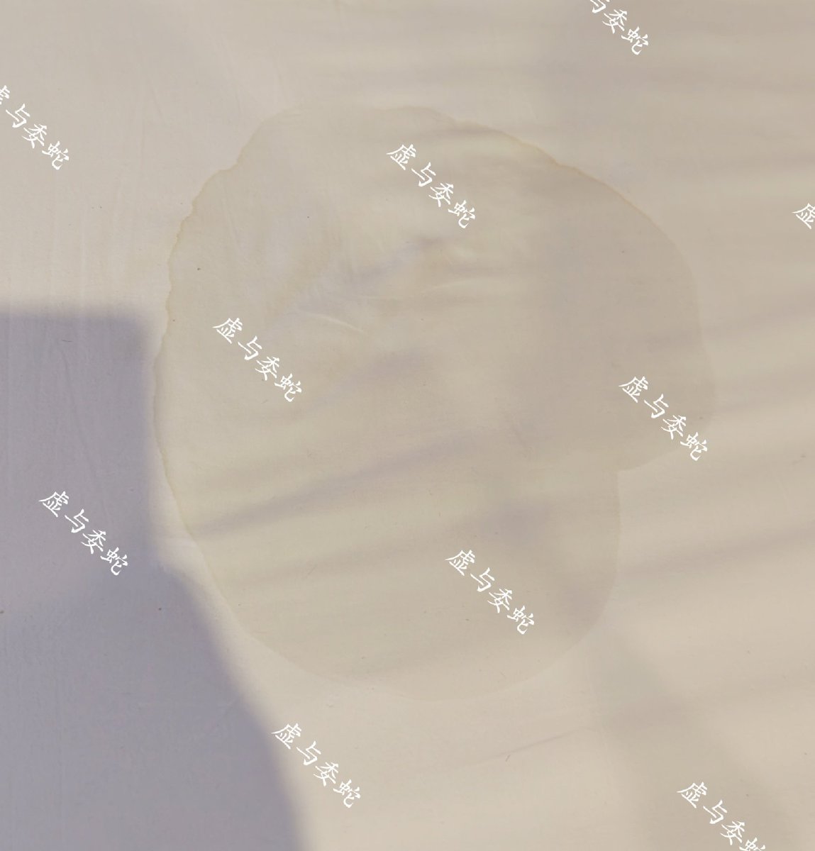 虚与委蛇 tweet media