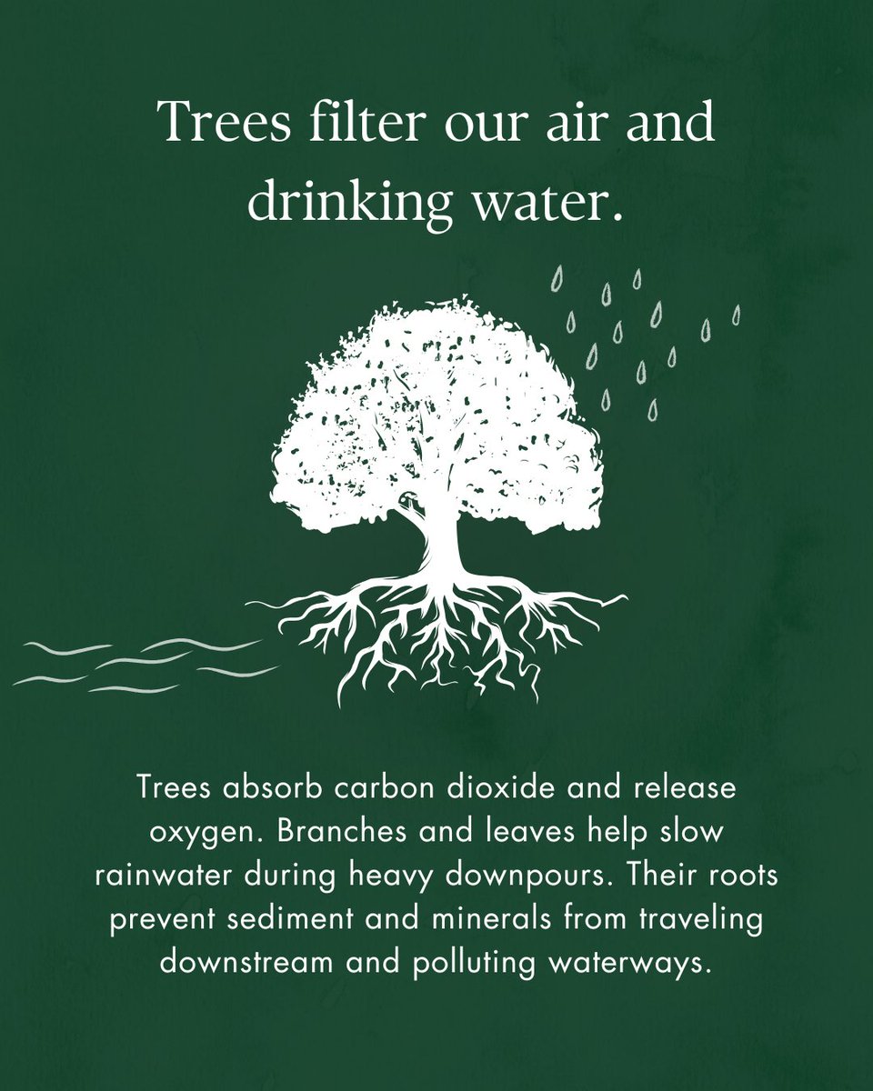 State Foresters tweet media