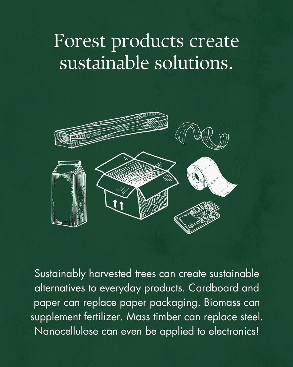 State Foresters tweet media