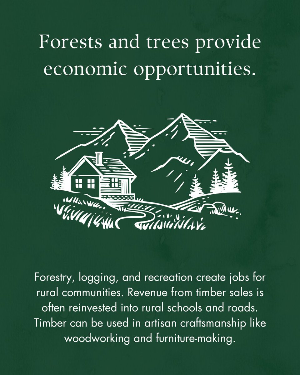 State Foresters tweet media