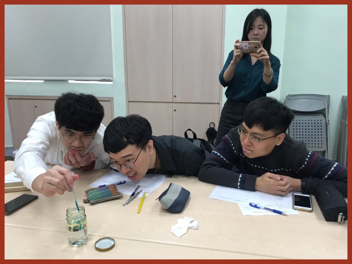 English Language Programs tweet media