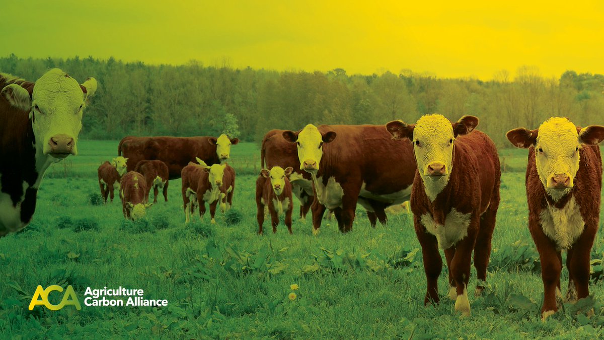 Agriculture Carbon Alliance tweet media