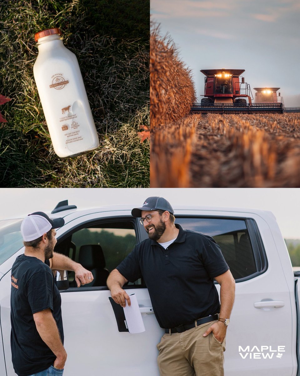 Mapleview Agri Ltd. tweet media