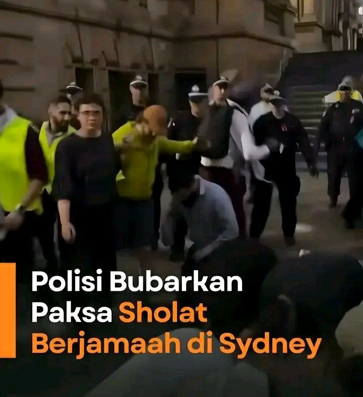 🤣🤣🤣🤣🤣🤣