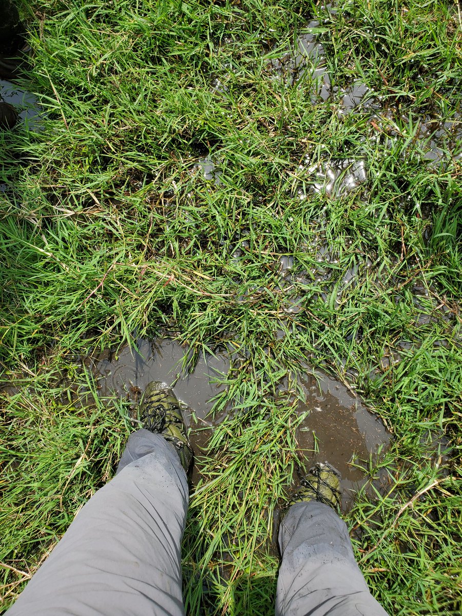 Hippolytus1308's tweet photo. Animal tracking demands stepping beyond comfort into the language of the wild. Droppings, temporary nests, feeding grounds, foot prints, and broken twigs all become clues. Every sign tells a story—if you slow down enough to read it. #AnimalTracking
#IntoTheWild #ExploreUganda https://t.co/RKCvASBTrI