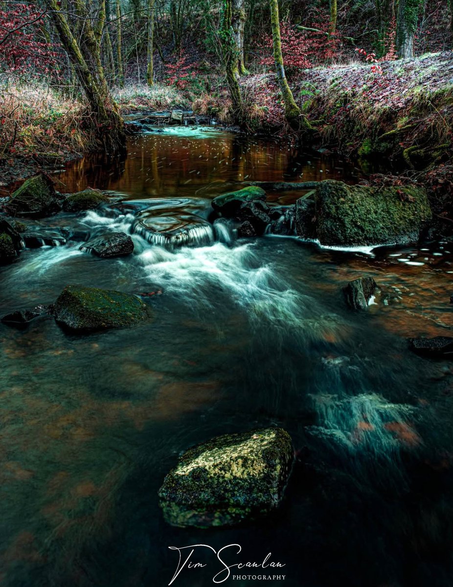 Tim Scanlan tweet media