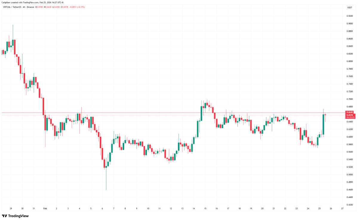 Caligh 土豆 tweet media