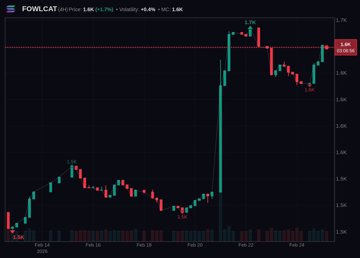 X Raider tweet media