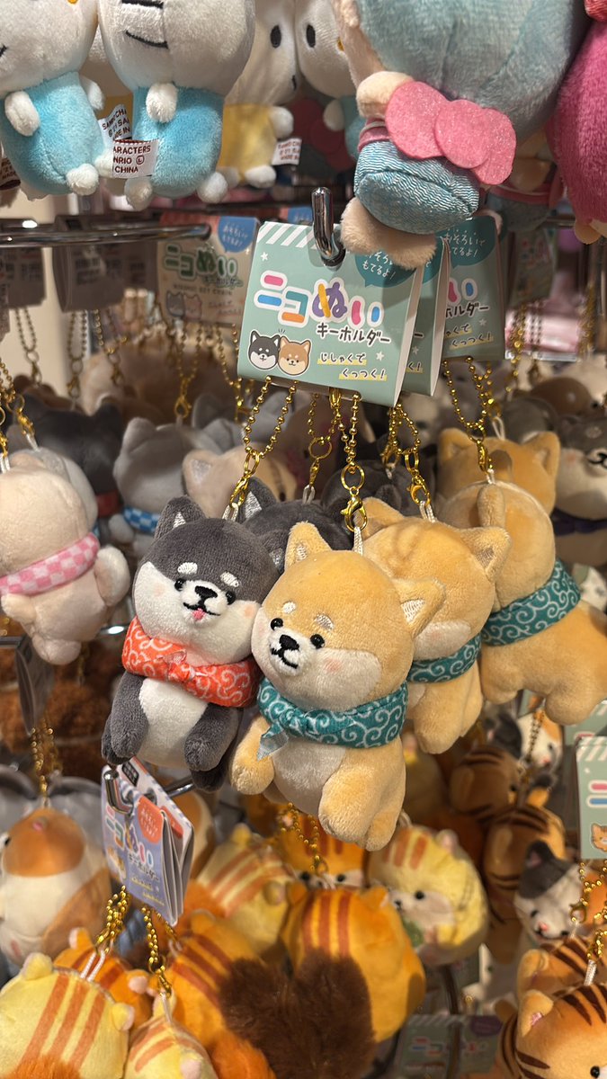 masih ada yg minat doll nya anton riize sama adiknya gk ? 295k aja nih