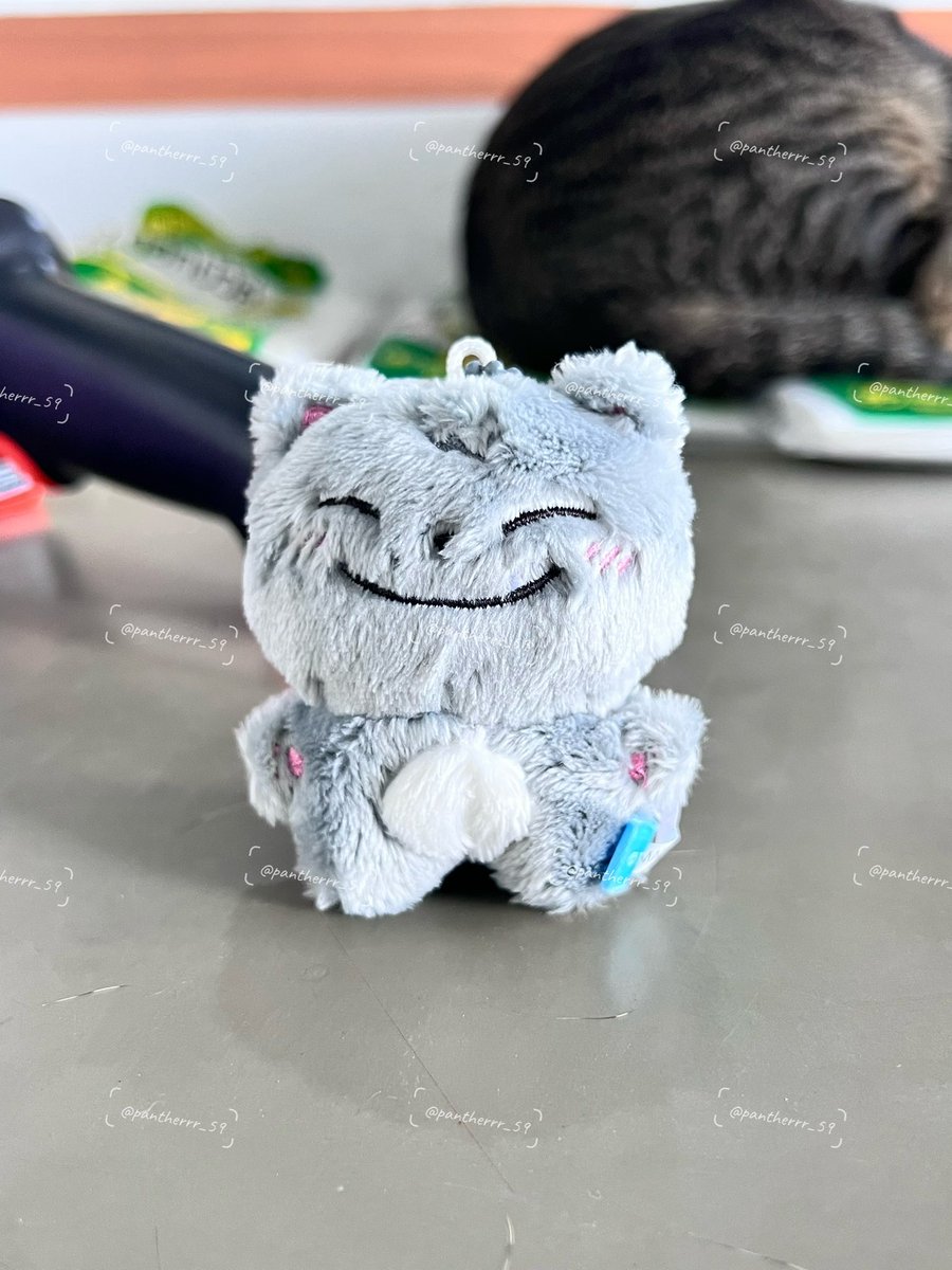 น้องอ้วงถึงแล้วนะคะ ของแถมน่ารักมาก

#รีวิวกานชาลาลา