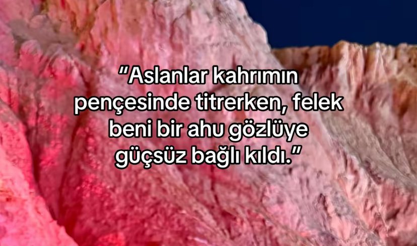 buse✨ (@busergu) on Twitter photo 