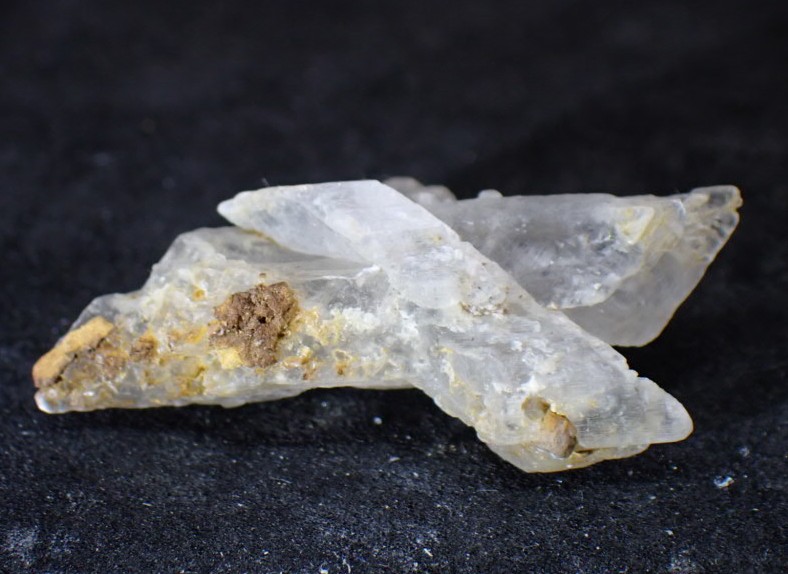 天然逆さめがね (@stellar_chaton) / Posts / X