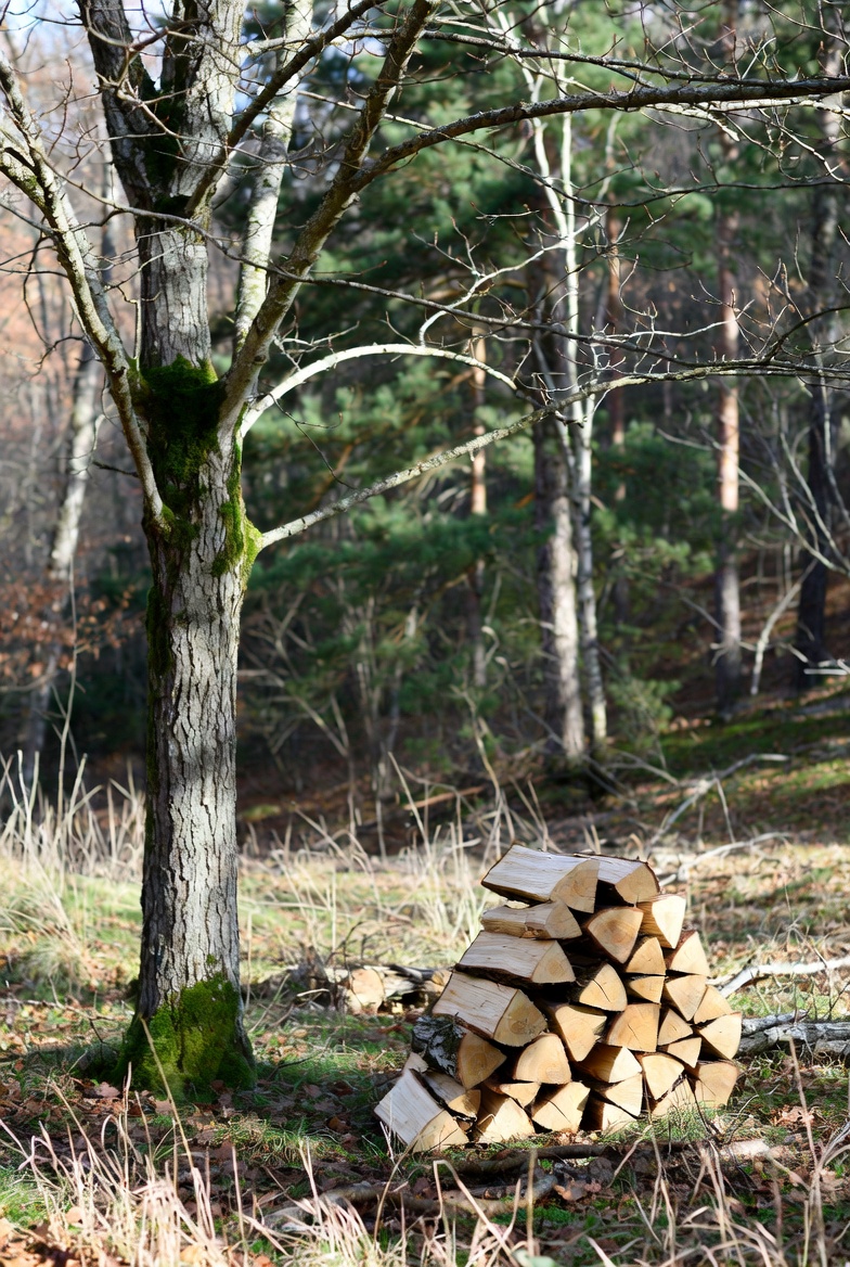 Maj. Ron Schaefer M.D. tweet media