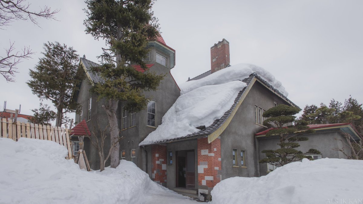 メダカちゃん tweet media