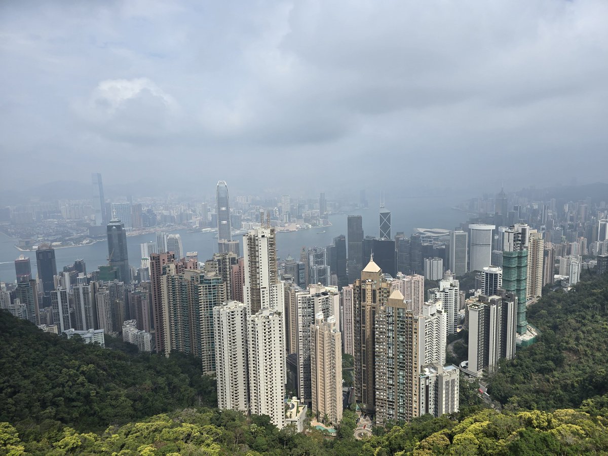 David Bujara tweet media