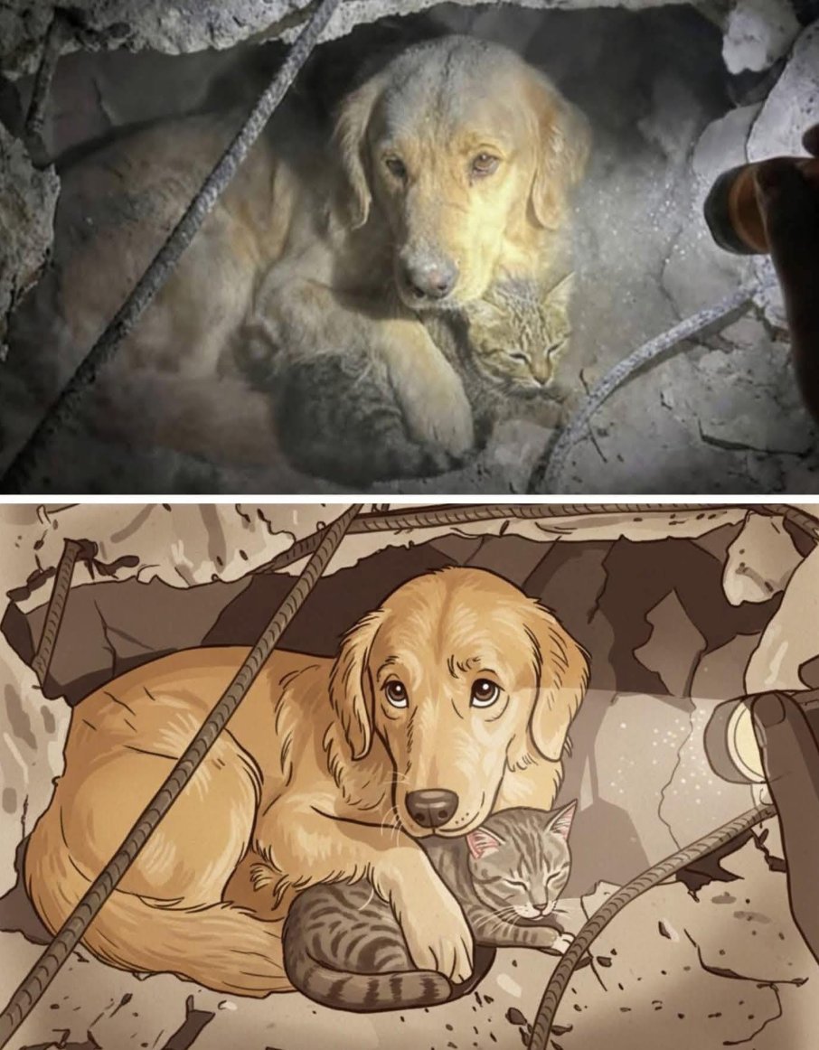 Ele latiu por dois dias entre os escombros, não para pedir socorro, mas para protegê-la.

Durante dois dias inteiros, em meio à poeira, às ruínas e ao silêncio deixado por um terremoto, latidos puderam ser ouvidos sob os destroços. No início, os socorristas acreditaram que havia