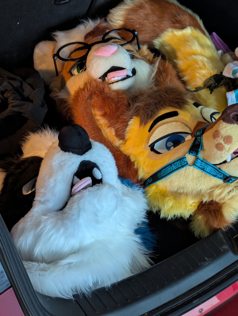 Aero 😇 tweet media