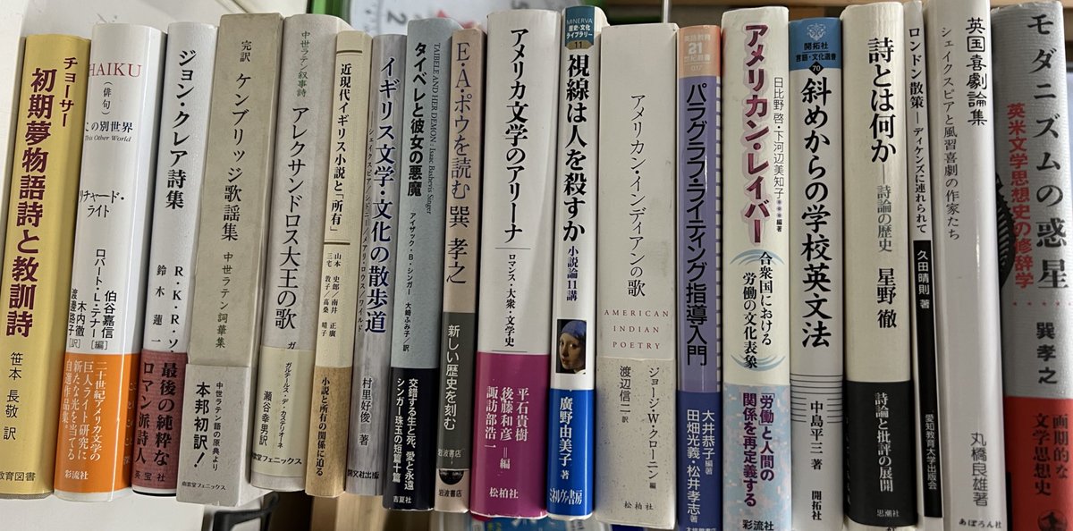 新入荷しました🆕