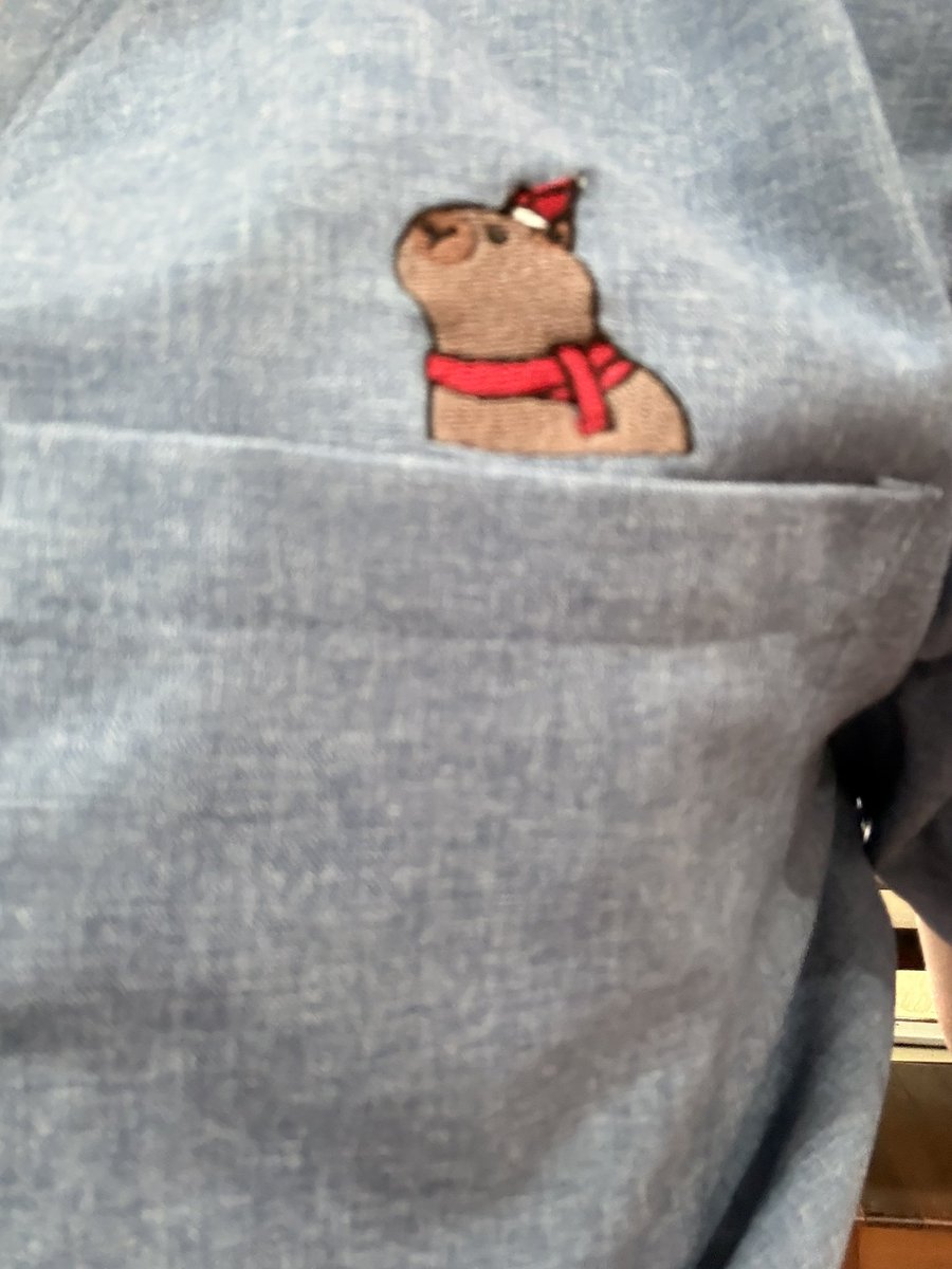 หมีสีฟ้า  tweet media