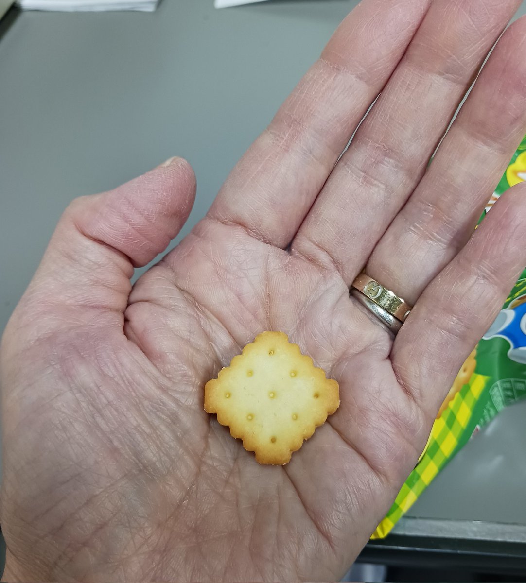 これはレモンパックの赤ちゃん。