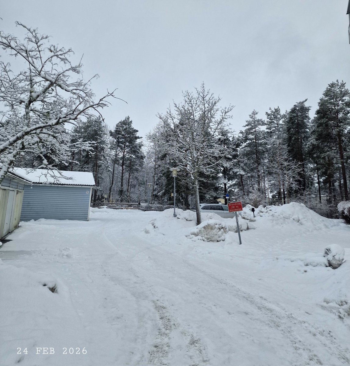 IDadzkov's tweet photo. Fresh snow.
#nature #winter #February #snow #trees #SnowPhoto https://t.co/CdB0bBZ3Yr
