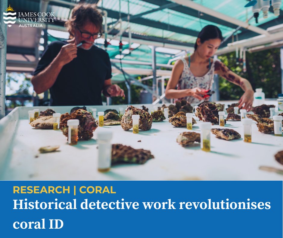 James Cook Uni tweet media