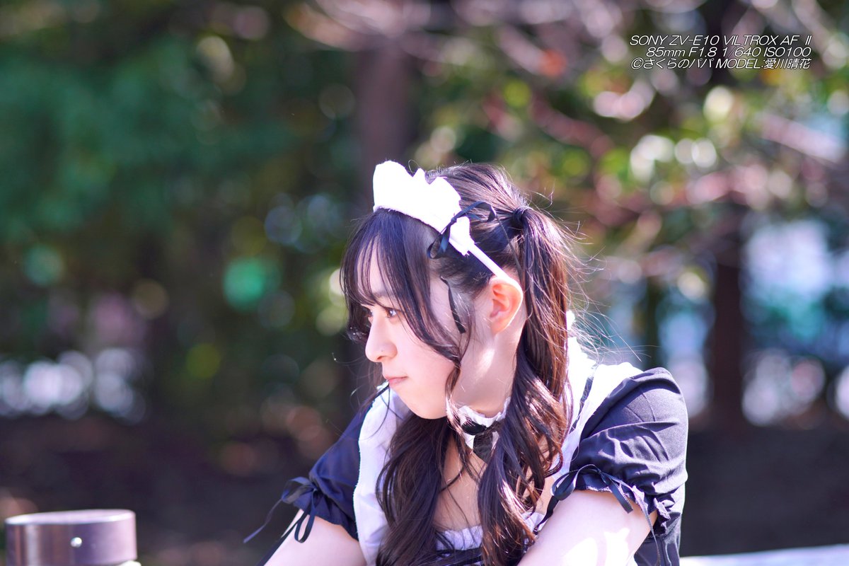 🇺🇦さくら🐇のパパ🇯🇵高配当株に移行中🇺🇦 (@K70_55) / Posts / X