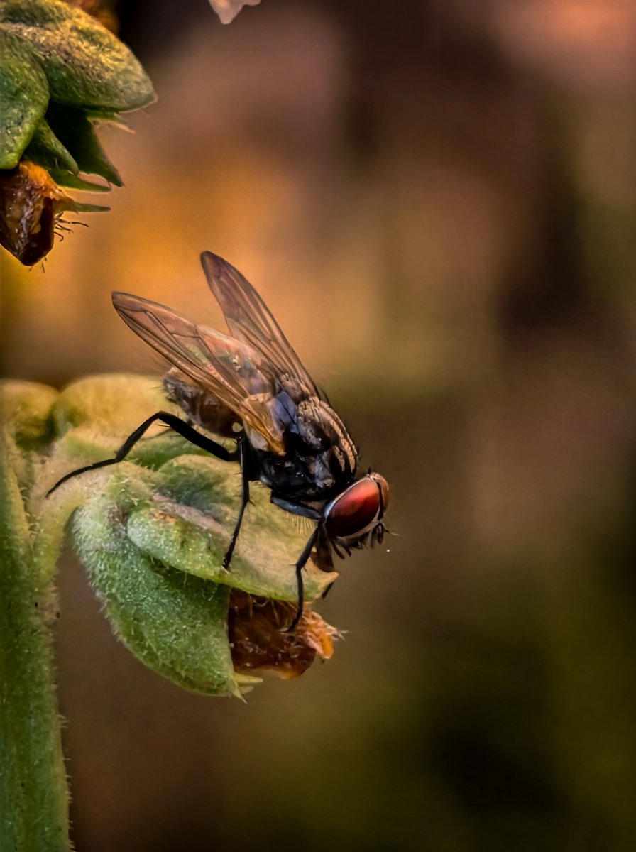 Rishabh Negi tweet media