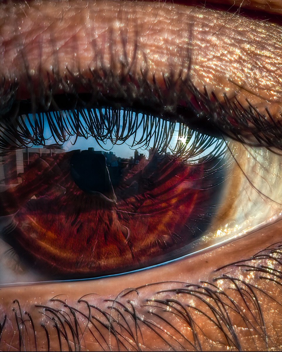 Rishabh Negi tweet media