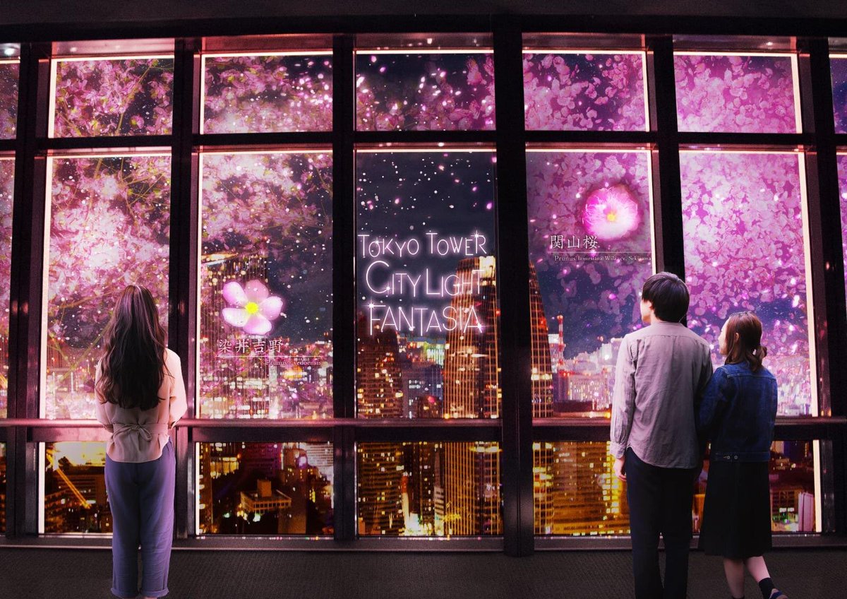 ______hnjs's tweet photo. ／

🗼TOKYO TOWER CITY LIGHT FANTASIA 
- Spring Concerto 2026-

＼

期間🌸2026年2月28日～5月6日
場所🗼東京タワー メインデッキ2階北面フロア https://t.co/iVKfZQv4Y2