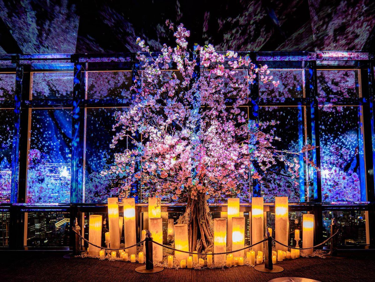 ______hnjs's tweet photo. ／

🗼TOKYO TOWER CITY LIGHT FANTASIA 
- Spring Concerto 2026-

＼

期間🌸2026年2月28日～5月6日
場所🗼東京タワー メインデッキ2階北面フロア https://t.co/iVKfZQv4Y2
