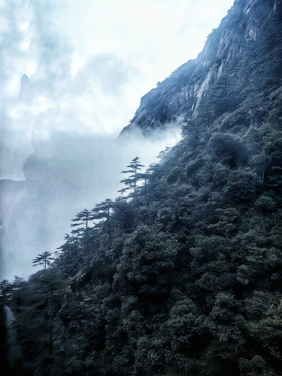 chinosan_dn's tweet photo. 雾隐山林山隐雾
松迎客至客迎松
at Huangshan, Anhui China
#chinatravel https://t.co/O6avdkMkY7