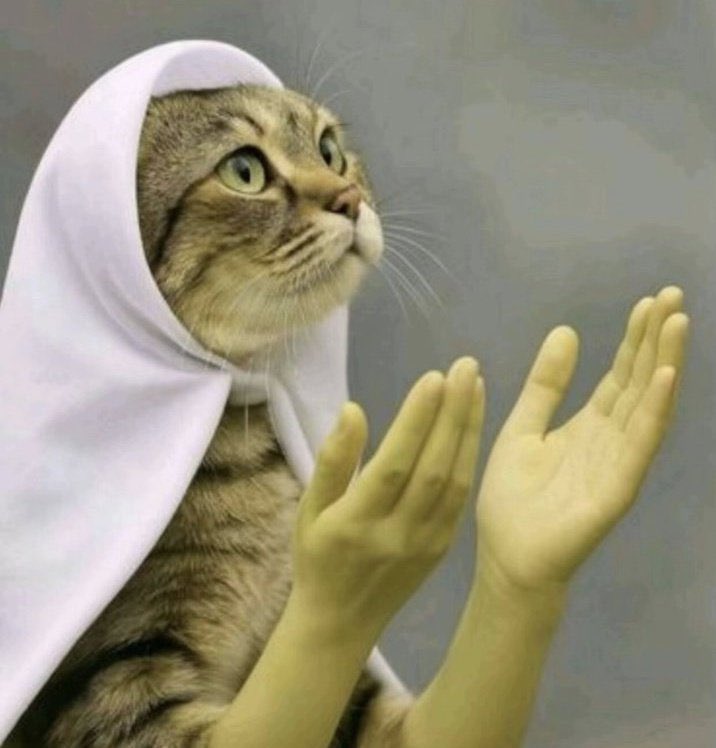 Gratitude is a must!
Good morning fam!!