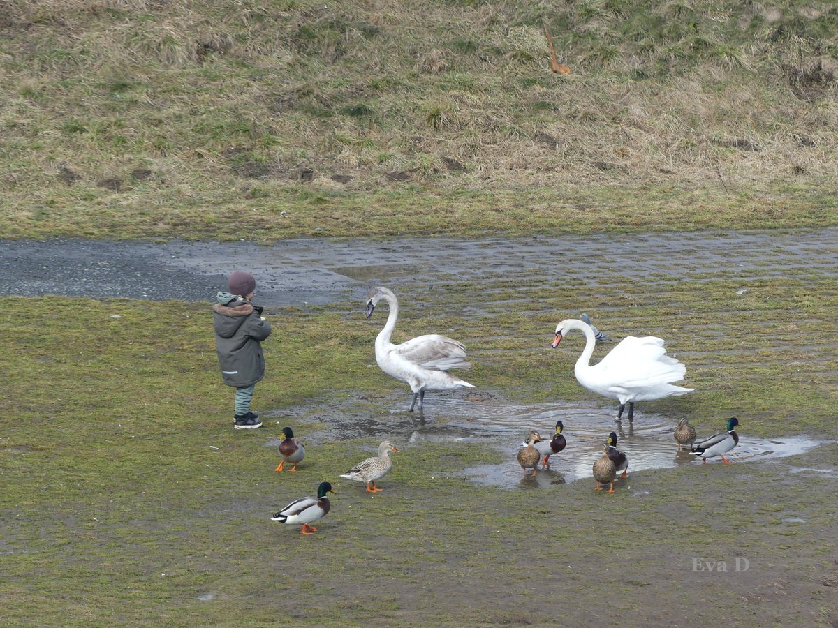 📷 Olomouc, u řeky Moravy